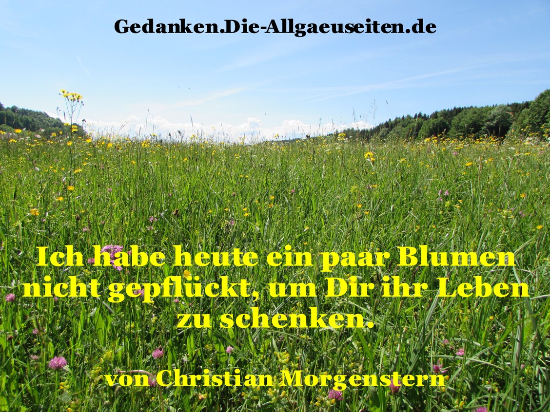 Ich habe heute ...