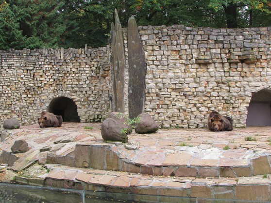 Bärengehege im Augsburger Zoo